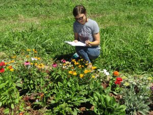 Michelle Henson rating plants for disease